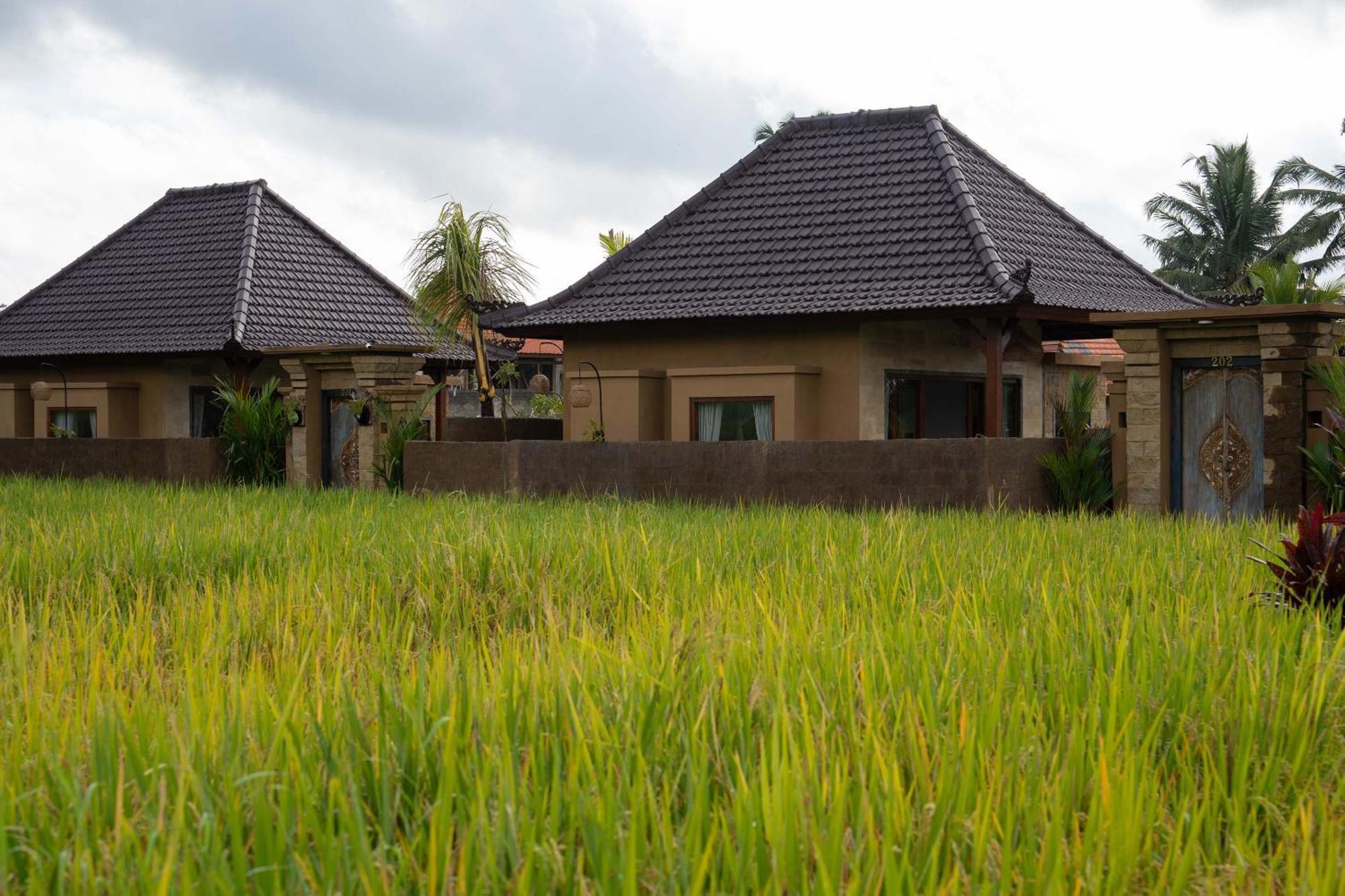 Sawah Sebatu Villa ウブド エクステリア 写真