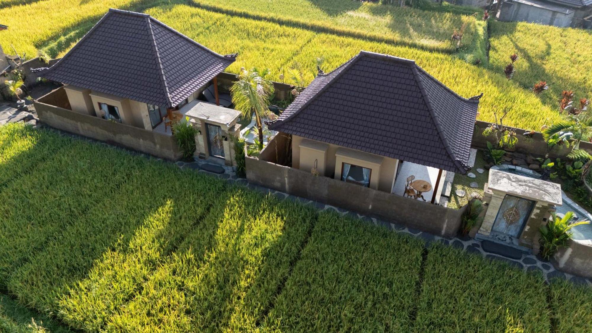 Sawah Sebatu Villa ウブド エクステリア 写真