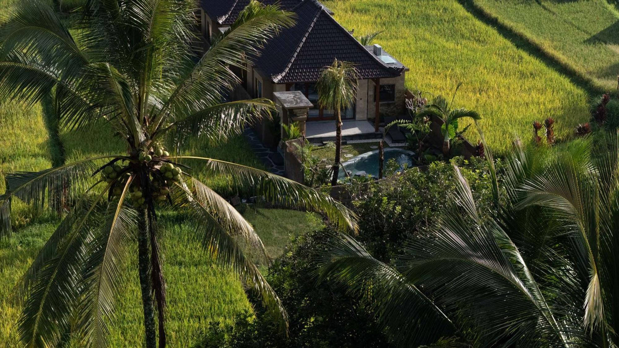 Sawah Sebatu Villa ウブド エクステリア 写真