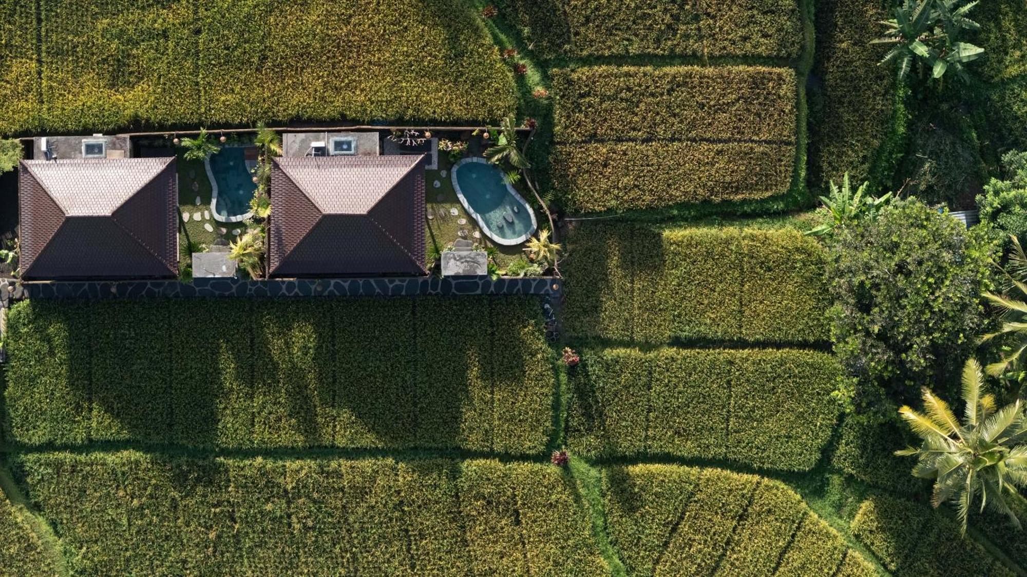 Sawah Sebatu Villa ウブド エクステリア 写真