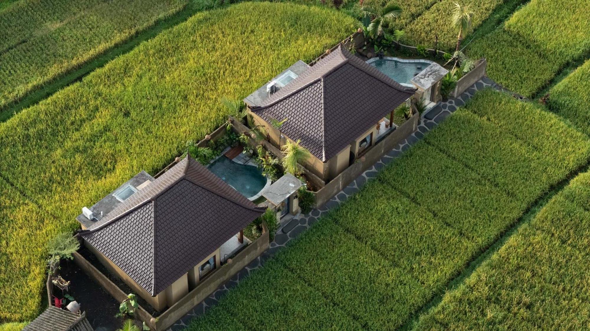 Sawah Sebatu Villa ウブド エクステリア 写真